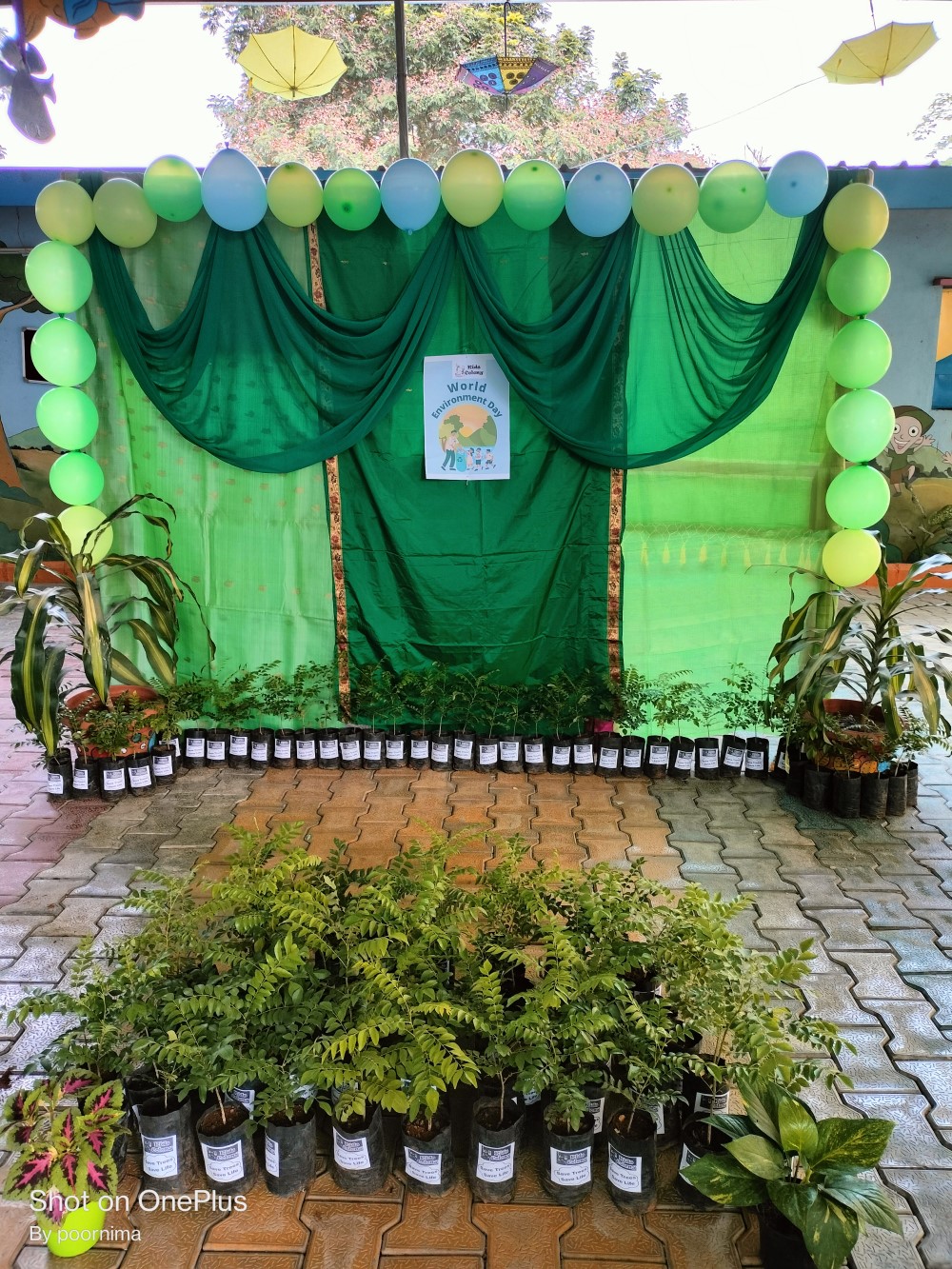 enviromental day